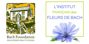 Les bienfaits des fleurs de Bach